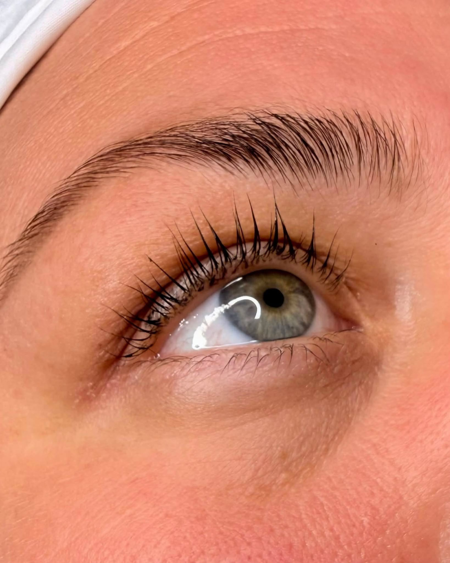 Närbild på fransar och bryn efter lashlift och browlift hos Madebylollo